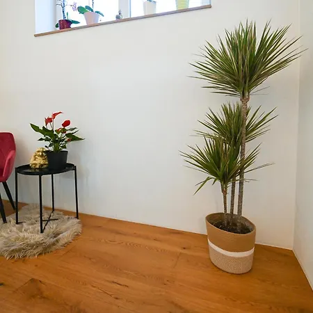 Holiday home Creatina By We Rent, Nationalpark Card Included