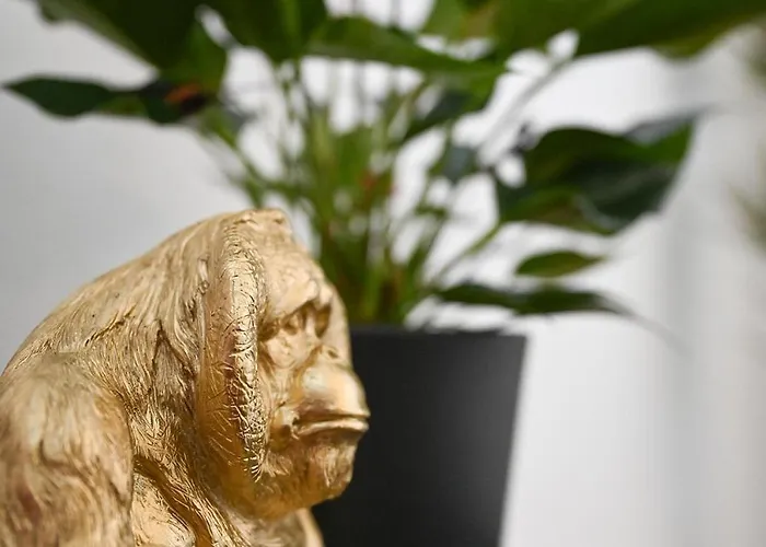 Creatina - Lovely Mountain *